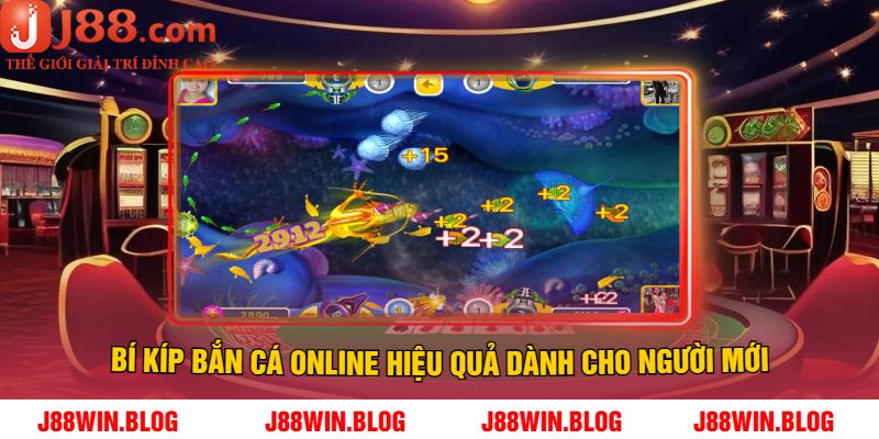 Bí Kíp Bắn Cá Online Hiệu Quả Dành Cho Người Mới